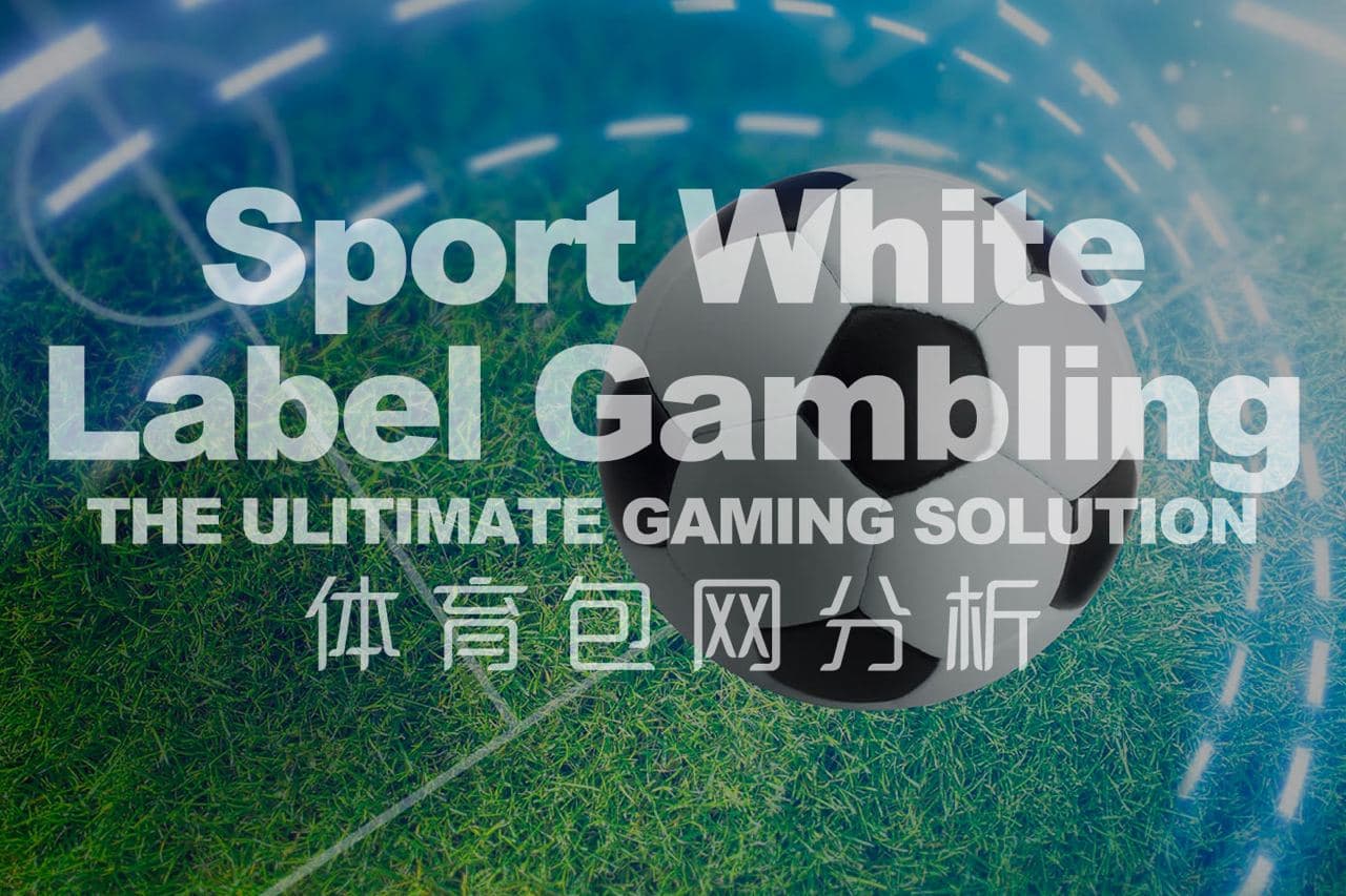 FS包网 F S体育包网 体育包网