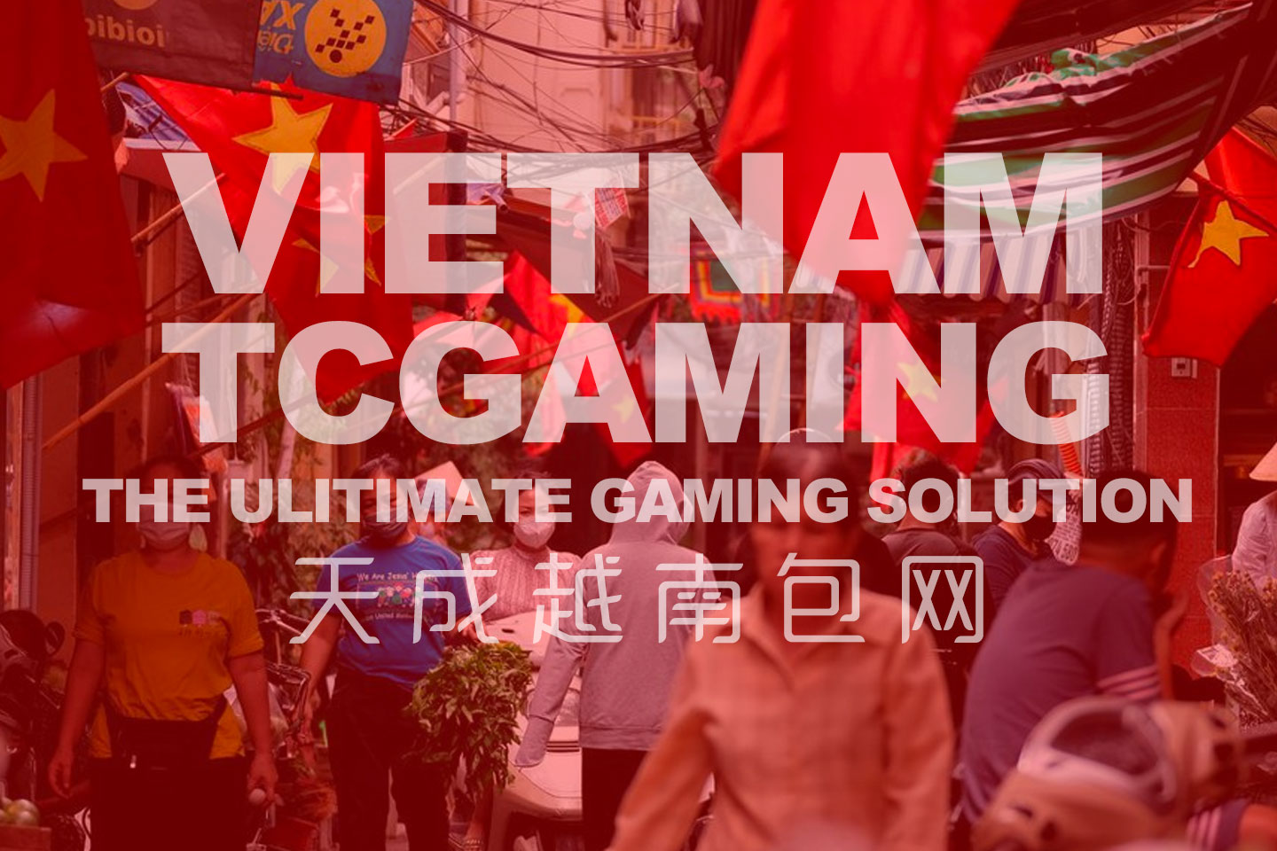 F S越南包网,越南博弈市场分析