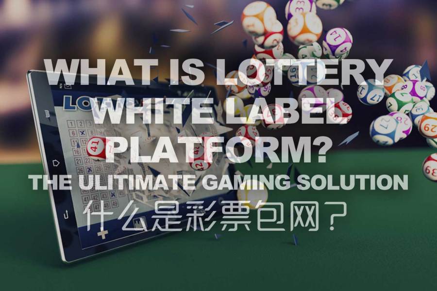 What Is Lottery White Label iGaming Platform?