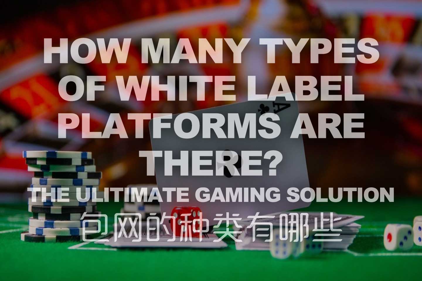 What Are The Types Of White Label iGaming? What Are The Types Of White Label iGaming?